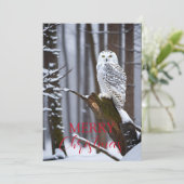 Wijze Uil in een Snowy Wonderland Feestdagenkaart (Staand voorkant)