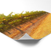 Wijze uitgelijnd poster (Hoek)