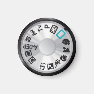 Wijzerplaat 50D Magneet