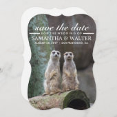 Wijzig deze grappige merkats bewaar de datum save the date (Voorkant / Achterkant)