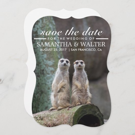 Wijzig deze grappige merkats bewaar de datum save the date (Voorkant / Achterkant)
