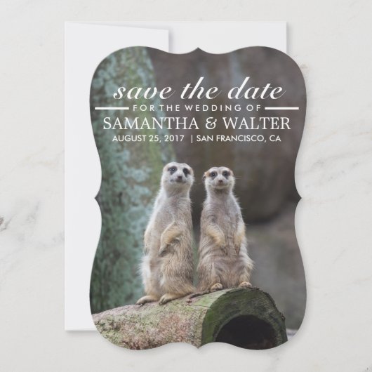 Wijzig deze grappige merkats bewaar de datum save the date (Voorkant)