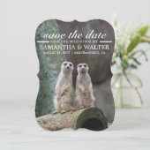 Wijzig deze grappige merkats bewaar de datum save the date (Staand voorkant)