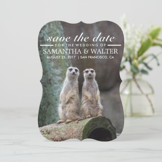 Wijzig deze grappige merkats bewaar de datum save the date (Staand voorkant)