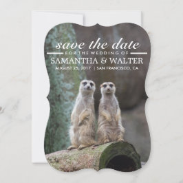 Wijzig deze grappige merkats bewaar de datum save the date