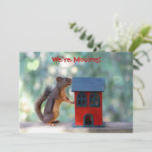 Wijziging adres/Housewarming Party Squirrel Kaart (Staand voorkant)
