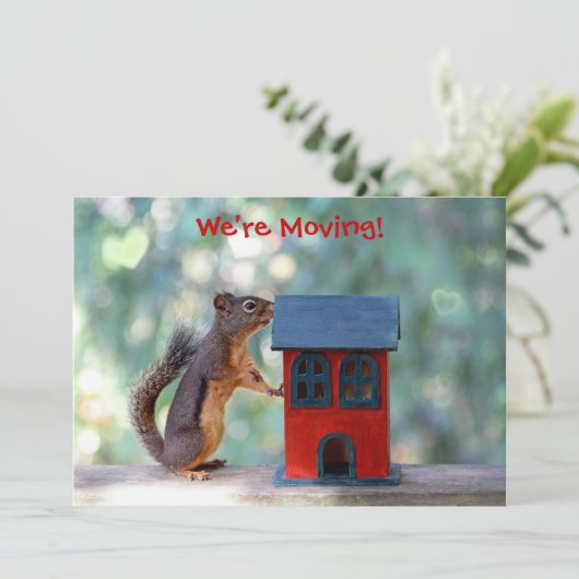 Wijziging adres/Housewarming Party Squirrel Kaart (Staand voorkant)
