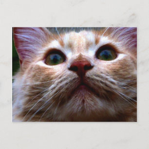 Wijziging adreskaart aankondigingskaart