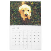 Wijziging puppies 2012 juni kalender (Mar 2027)