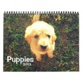 Wijziging puppies 2012 juni kalender (Hoes)