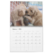 Wijziging puppies 2012 juni kalender (Feb 2026)