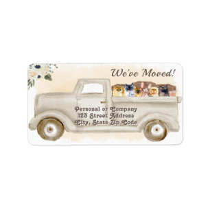 Wijziging van adres, Katten, het Etiket van het Ad