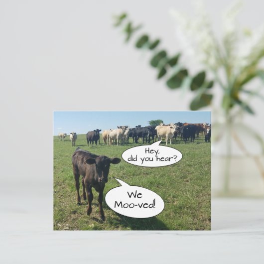 Wijziging van adres We hebben de Koe bepleit Briefkaart (Staand voorkant)