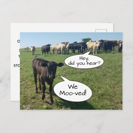 Wijziging van adres We hebben de Koe bepleit Briefkaart (Voorkant / Achterkant)