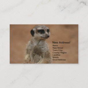 Wijziging van adreskaarten - Meerkats Visitekaartje