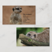 Wijziging van adreskaarten - Meerkats Visitekaartje (Voorkant / Achterkant)