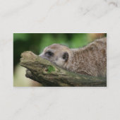 Wijziging van adreskaarten - Meerkats Visitekaartje (Achterkant)
