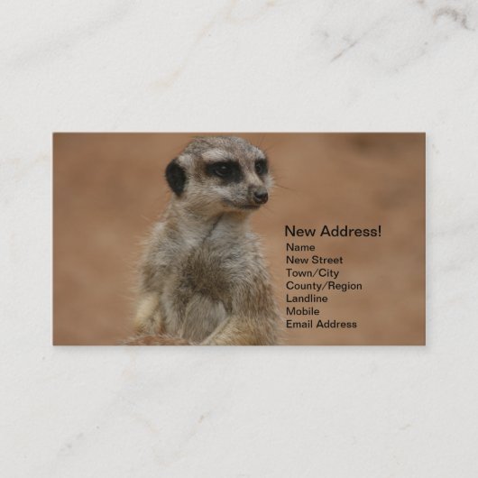 Wijziging van adreskaarten - Meerkats Visitekaartje (Voorkant)