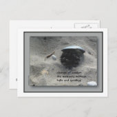 Wijziging van de seizoenen briefkaart (Voorkant / Achterkant)