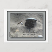 Wijziging van de seizoenen briefkaart (Voorkant)