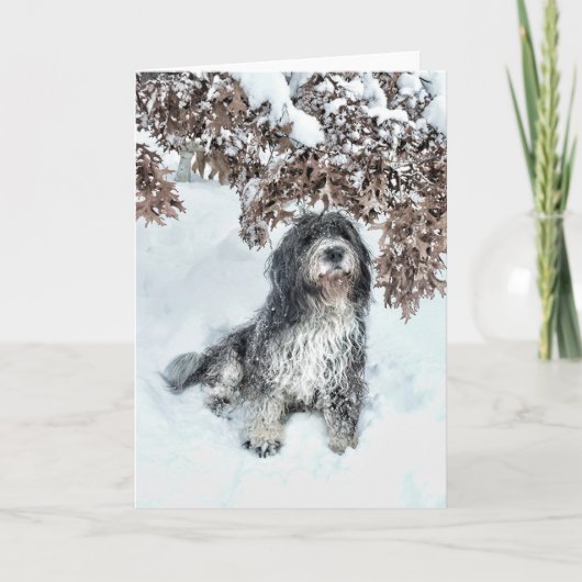 Wijziging van de seizoenen kaart (Voorkant)