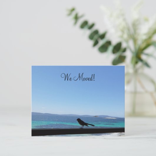 Wijziging van Details kleine vogel Briefkaart (Staand voorkant)