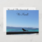 Wijziging van Details kleine vogel Briefkaart (Voorkant / Achterkant)