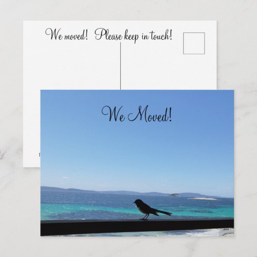 Wijziging van Details kleine vogel Briefkaart (Voorkant / Achterkant)