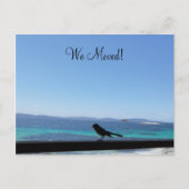 Wijziging van Details kleine vogel Briefkaart (Voorkant)