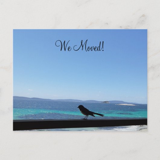 Wijziging van Details kleine vogel Briefkaart (Voorkant)