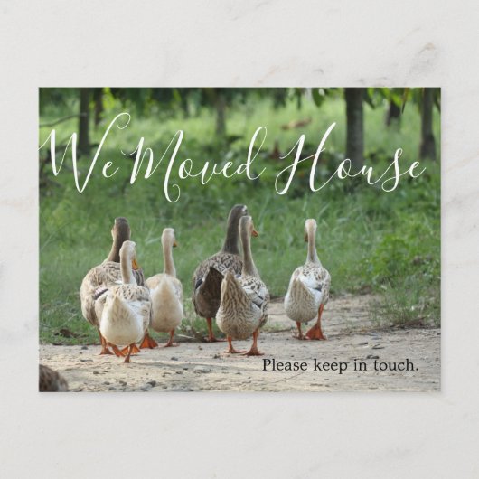 Wijziging van het Briefkaart Adres Fun Photo Custo (Voorkant)