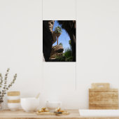 Wikken in Indische Canyon, Palm Springs, CA, woest Poster (Keuken)
