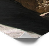 Wikken in Indische Canyon, Palm Springs, CA, woest Poster (Hoek)