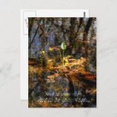 Wil begrijpen, om geen Begrepen Briefkaart te zijn (Voorkant / Achterkant)