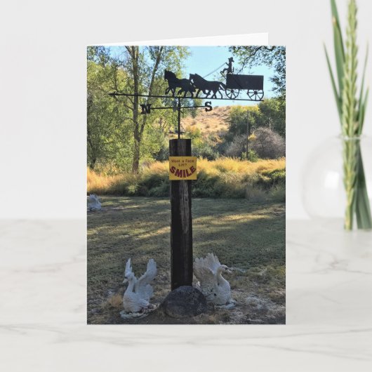 Wil een Facelift, een glimlach, een grappig teken Kaart (Voorkant)