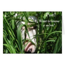 Wil een geheim weten