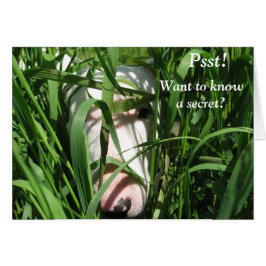 Wil een geheim weten