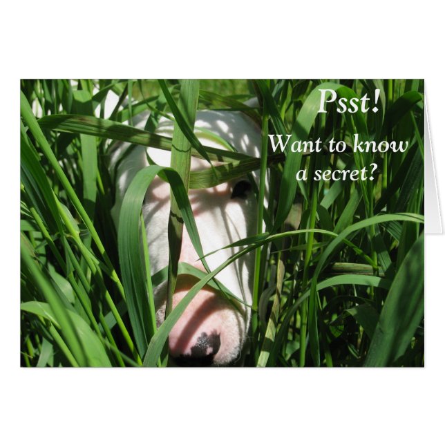 Wil een geheim weten (Voorkant Horizontaal)