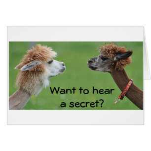 WIL EEN "GEHEIMTE" WETEN - IK HOEF ***JIJ**