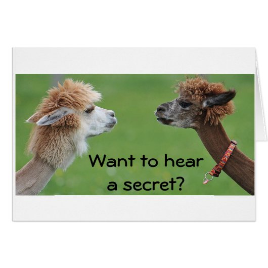 WIL EEN "GEHEIMTE" WETEN - IK HOEF ***JIJ** (Voorkant Horizontaal)