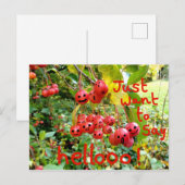 Wil gewoon Hallo zeggen! Briefkaart (Voorkant / Achterkant)