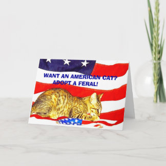 Wil je een Amerikaanse kat? Adopteer een Feral! Kaart