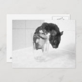 Wil je een drink? briefkaart (Voorkant / Achterkant)