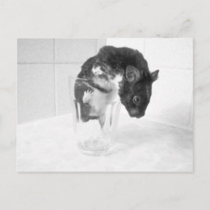 Wil je een drink? briefkaart