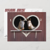 Wil je een paard rond? briefkaart (Voorkant / Achterkant)