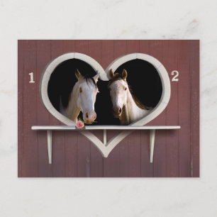 Wil je een paard rond? briefkaart