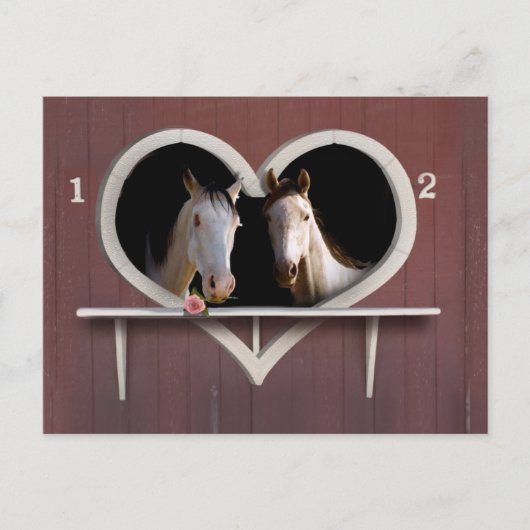 Wil je een paard rond? briefkaart (Voorkant)