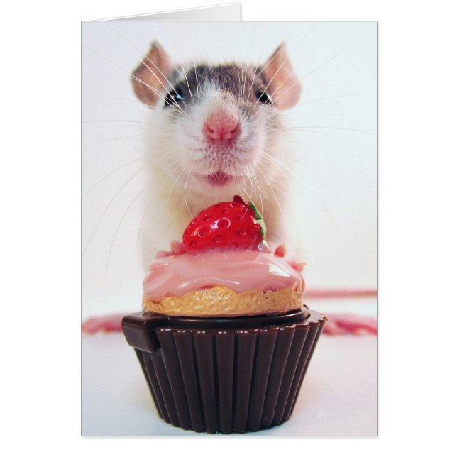 Wil je een Snoep? (Voorkant)