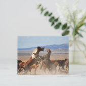 Wil je een stuk van mij? briefkaart (Staand voorkant)