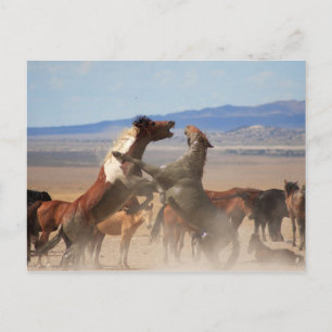 Wil je een stuk van mij? briefkaart